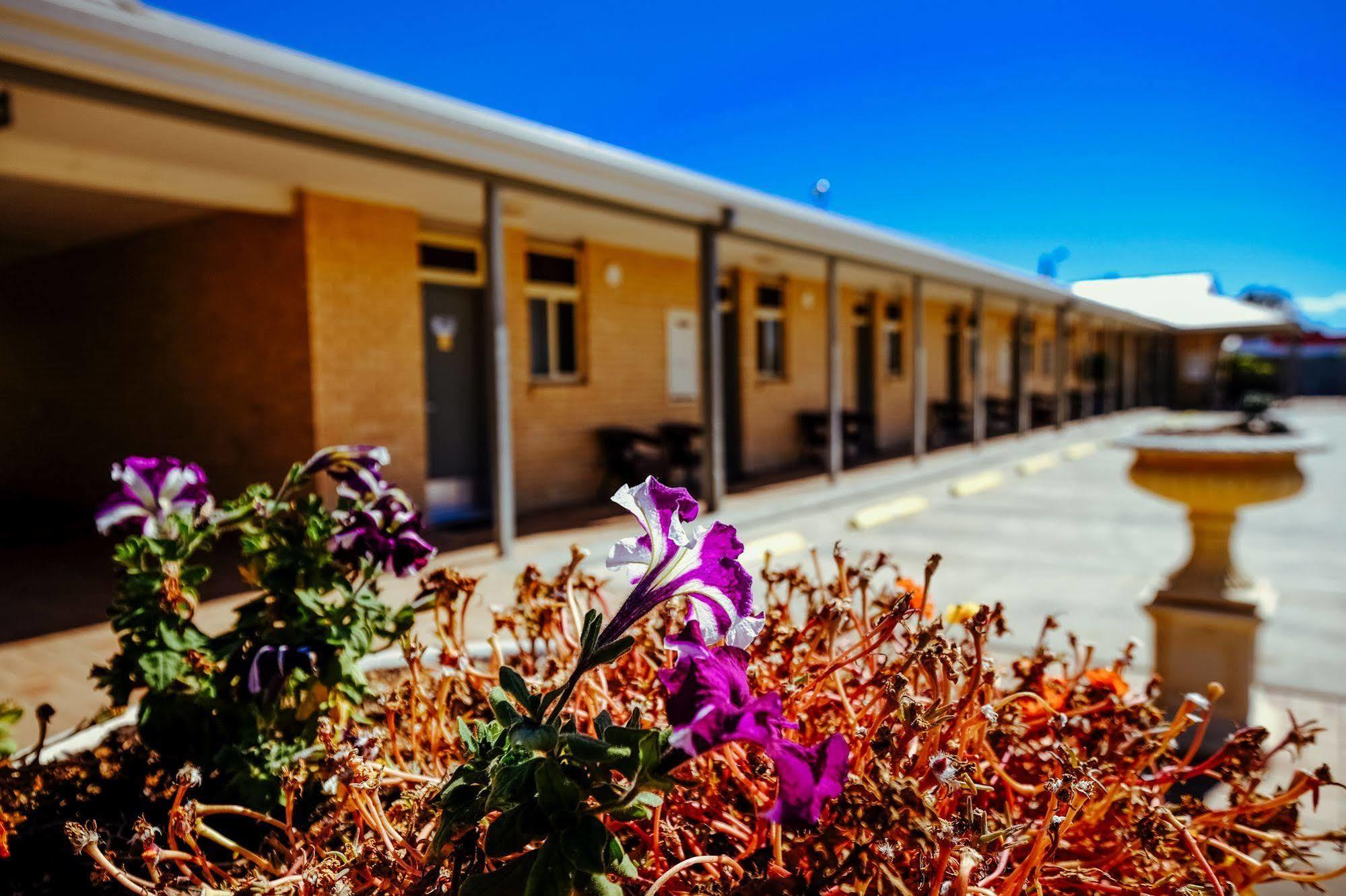 Club Motor Inn Narrabri Luaran gambar